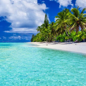 Meet your Posher, Diego